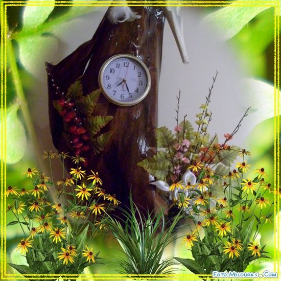 AVE EXOTICA -  DO TEMPO
