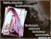 AVE EXOTICA - SIMPLICIDADE