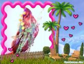 AVE EXOTICA - DO SENHOR