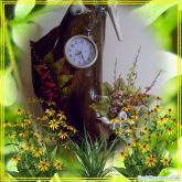 AVE EXOTICA -  DO TEMPO